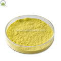 sophora japonica extract quercetin 98% quercetin powder